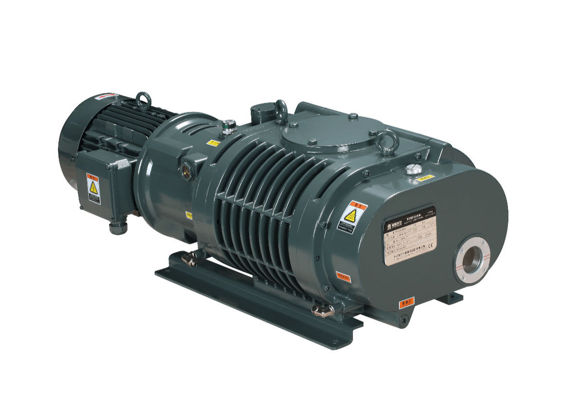 BSJ300L 300L/S Vacuum Booster Pump 50Hz 5HP Mechanical Vacuum Booster System Pump